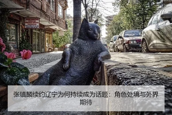 zhang-zhen-lin-xu-yue-liao-ning-wei-he-chi-xu-cheng-wei-hua-ti-jue-se-chu-jing-yu-wai-jie-qi-dai-2-990.jpg